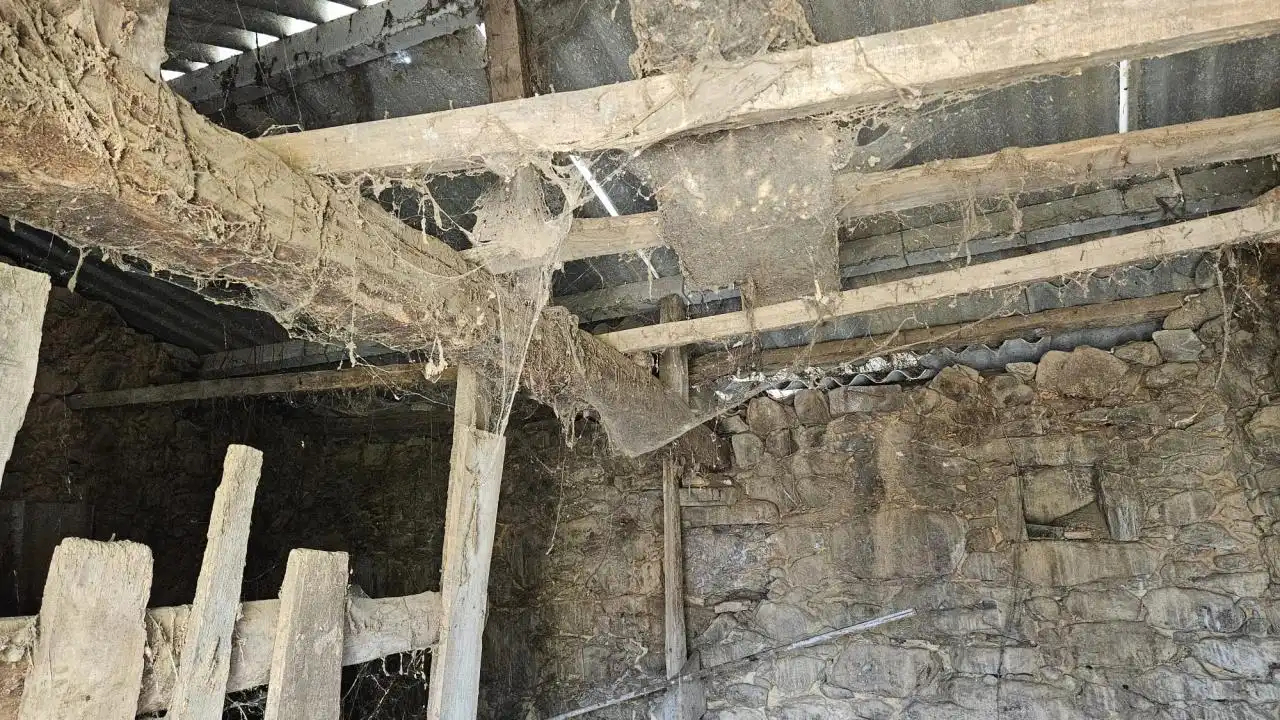 Casa o xalet en venda en O Porriño   amb Calefacció, Jardí privat i Traster
