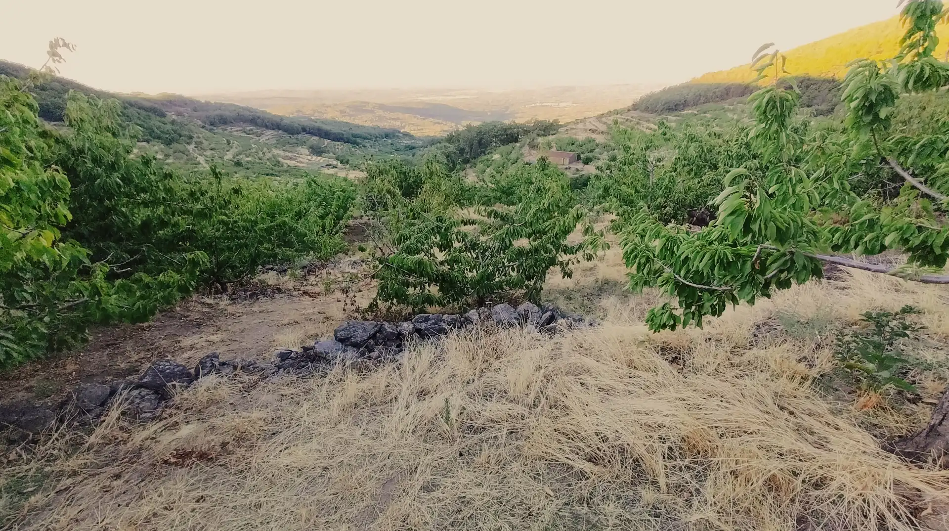 Terrain rustique à vendre à Avenida Extremadura 72, imagen 13