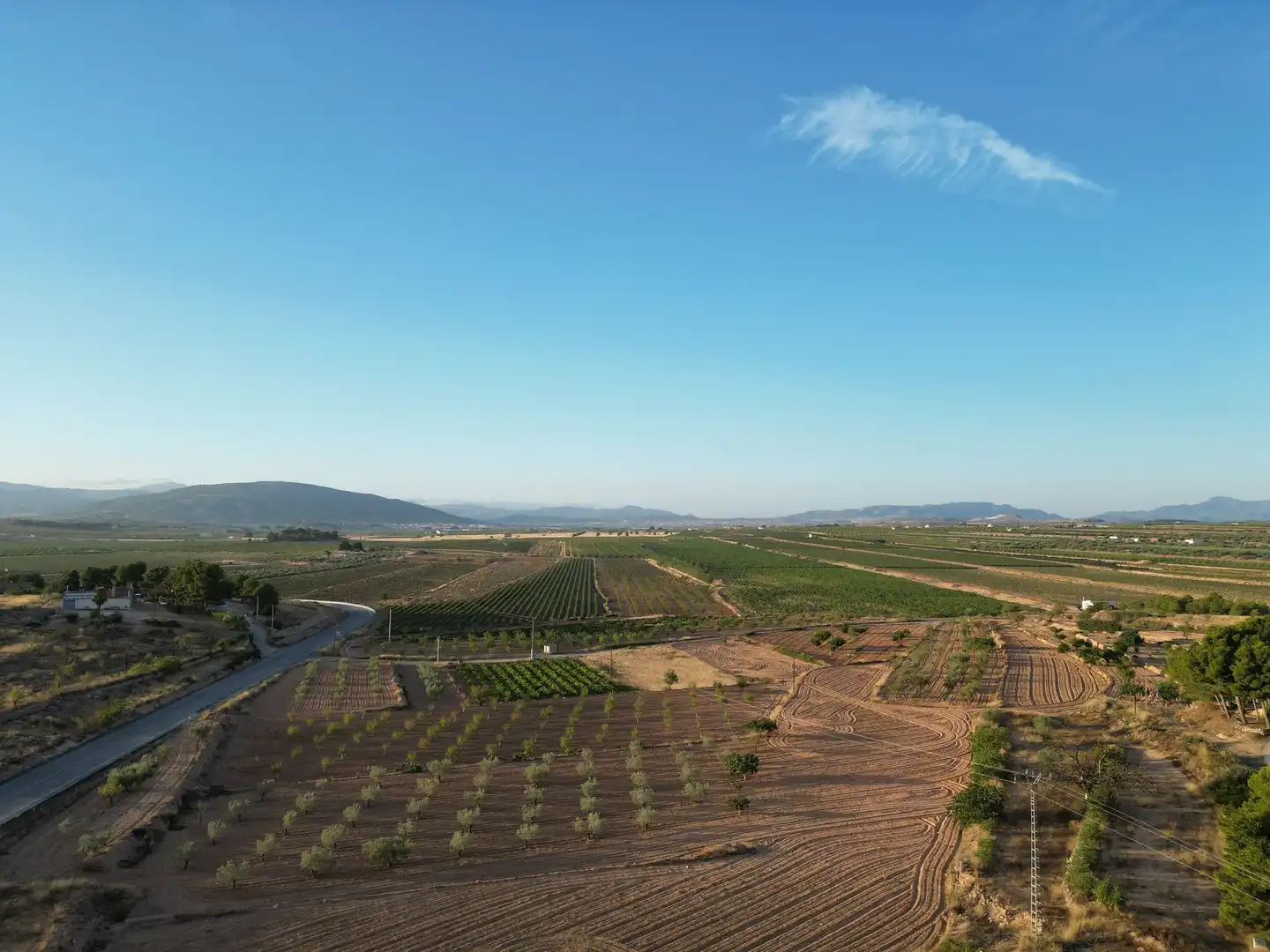 Terreno residencial en venta en El Pinós / Pinoso, imagen 5
