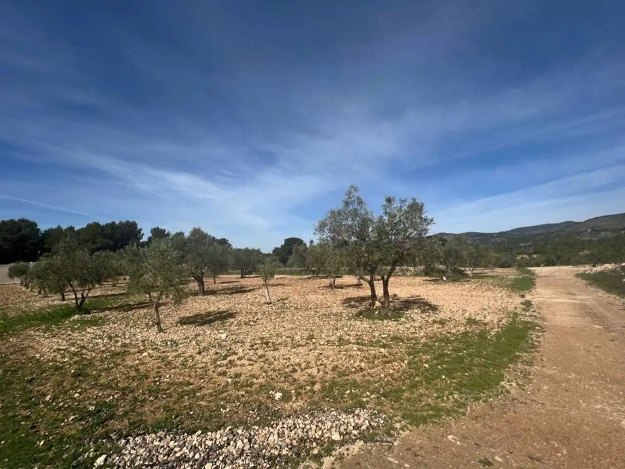 Chalet con jardín en venta en Calle Poligono, imagen 71