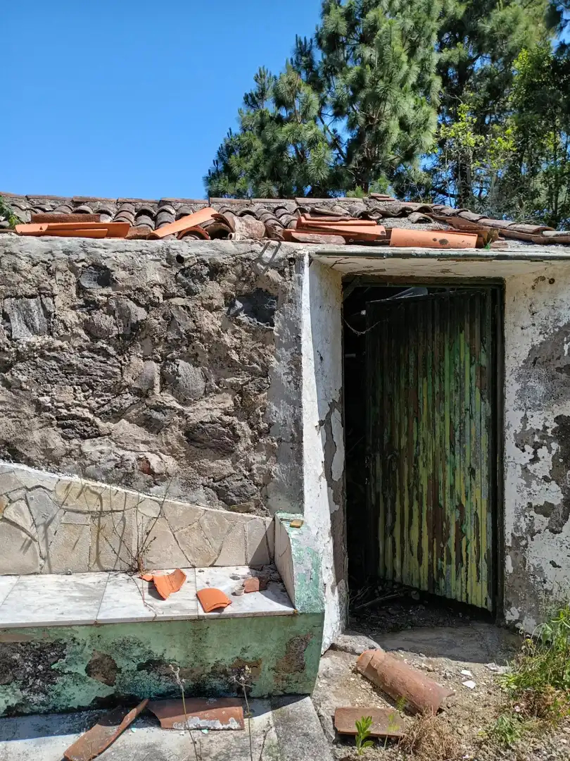 Vista exterior de Finca rústica en venta en Garachico