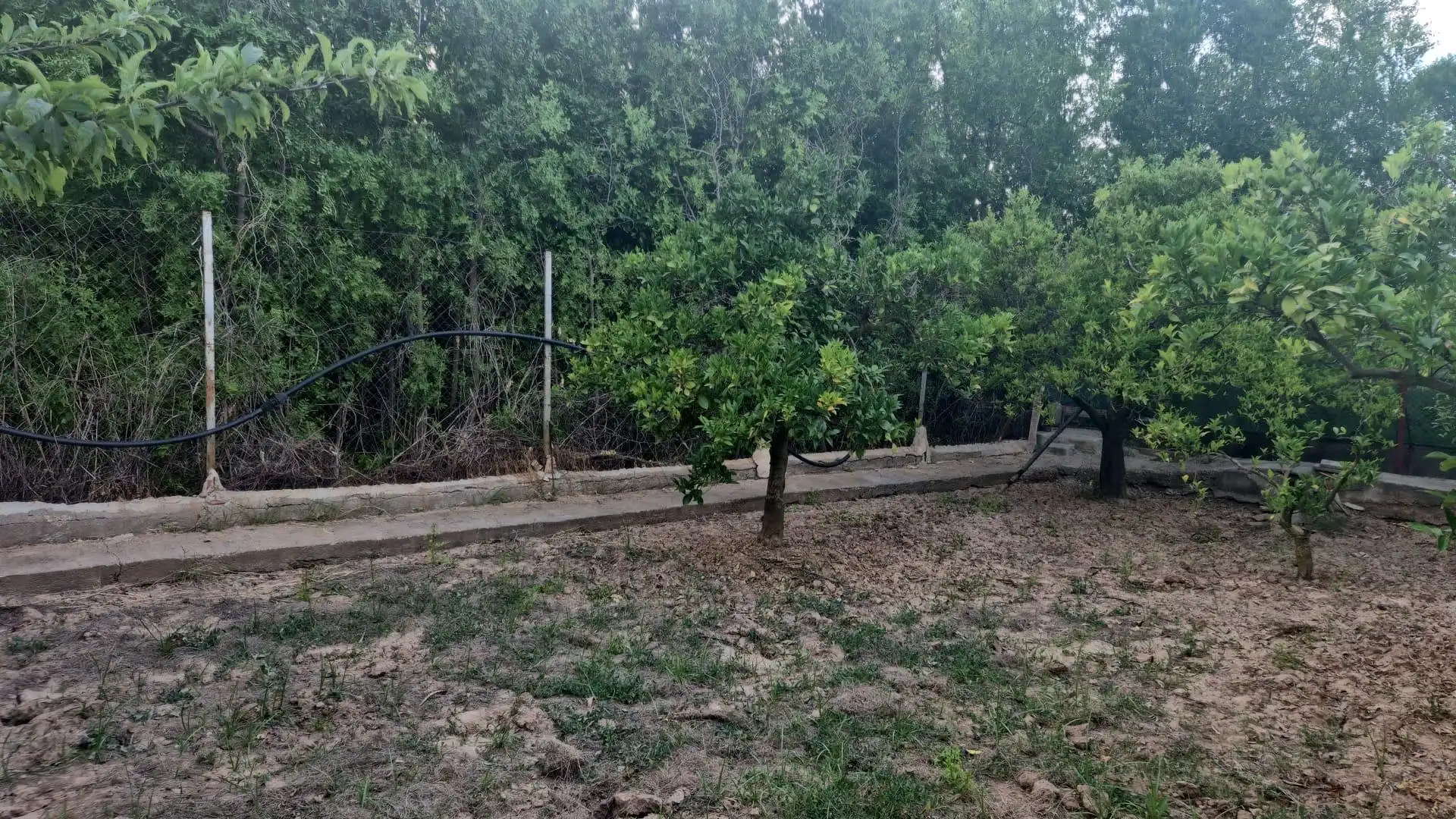 Finca rústica en venta en Murcia con Amueblado