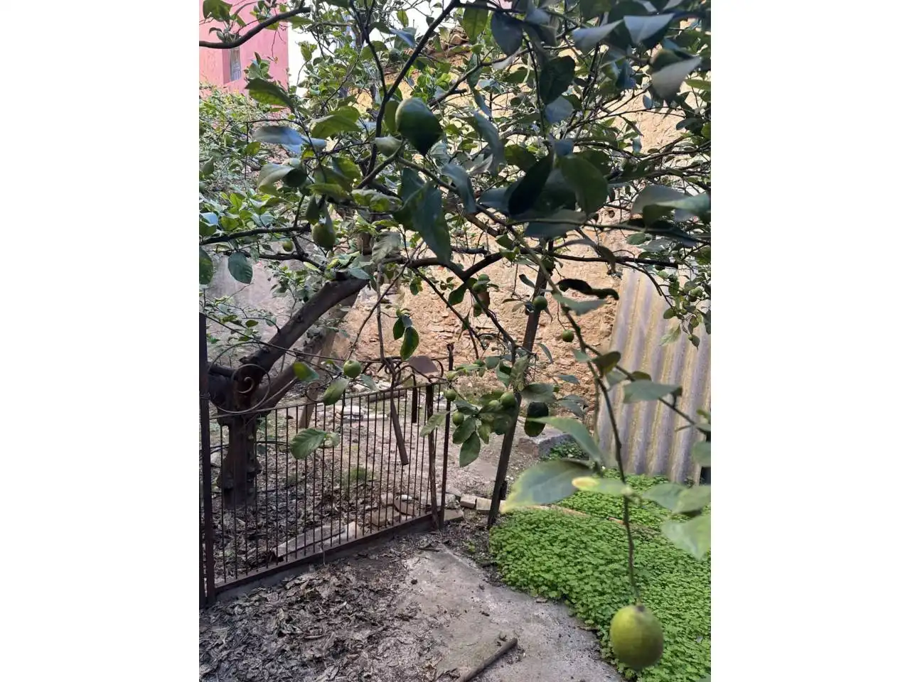Garden of Houses for sale in Guadassuar  with Private garden