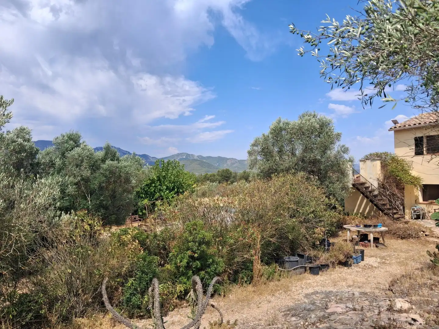 Finca rústica en venda en Tivissa amb Piscina comunitària