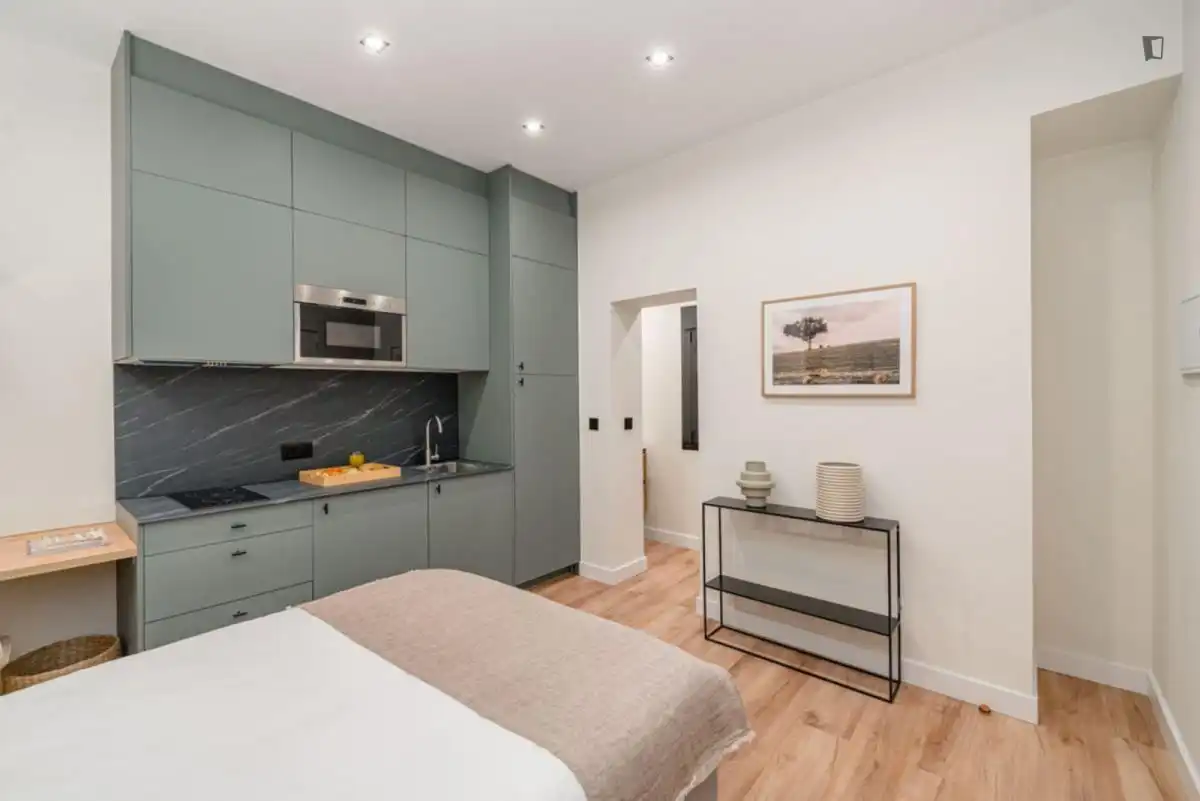 Wohnung zur Miete in Justicia - Chueca