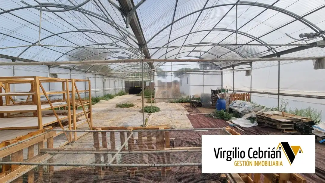 Casa rustica con giardino in vendita a Las Tres Piedras - Costa Ballena, imagen 10