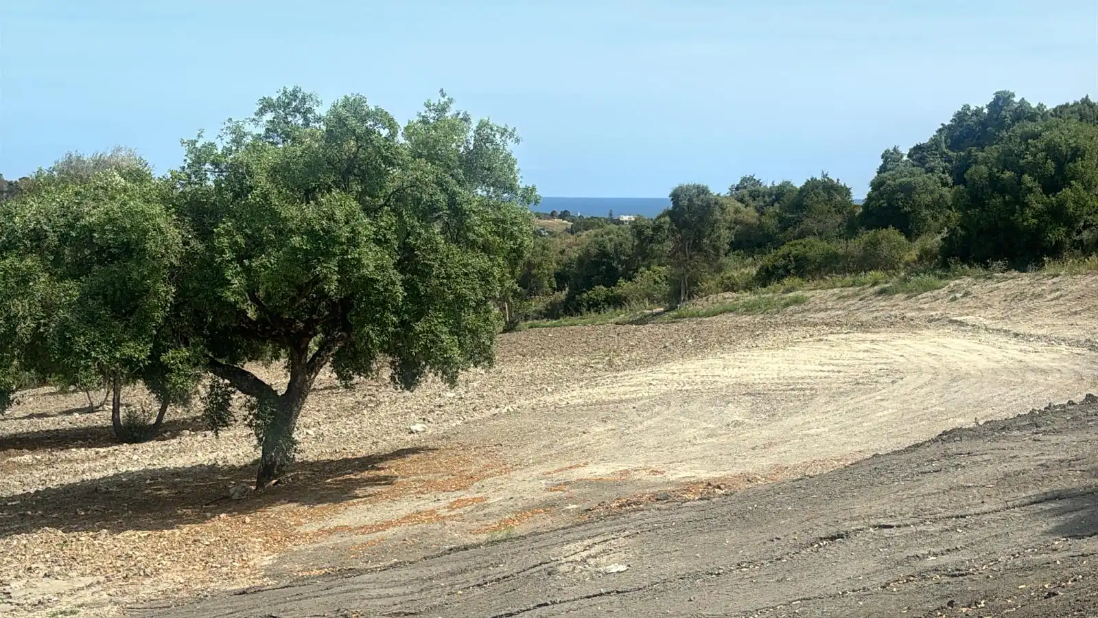Rural land for sale in Camino Nicola, imagen 4