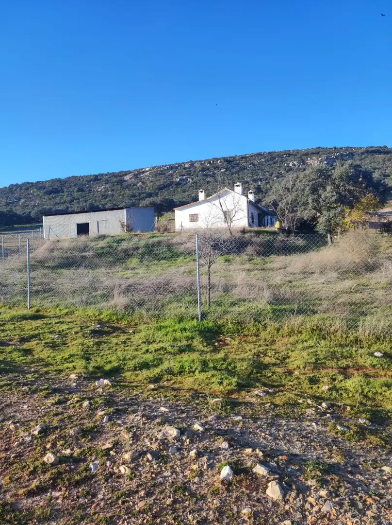 Casa rústica en venda a Almodóvar del Campo, imagen 29