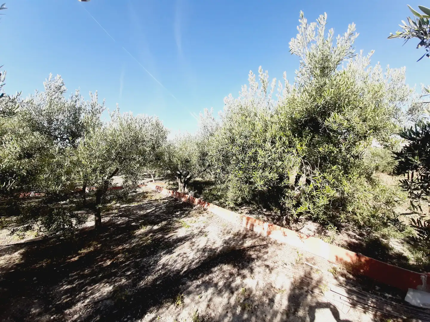 Lands and plots for sale in Mula, imagen 17