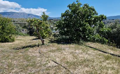 Finca rústica en venda en Motril amb Terrassa