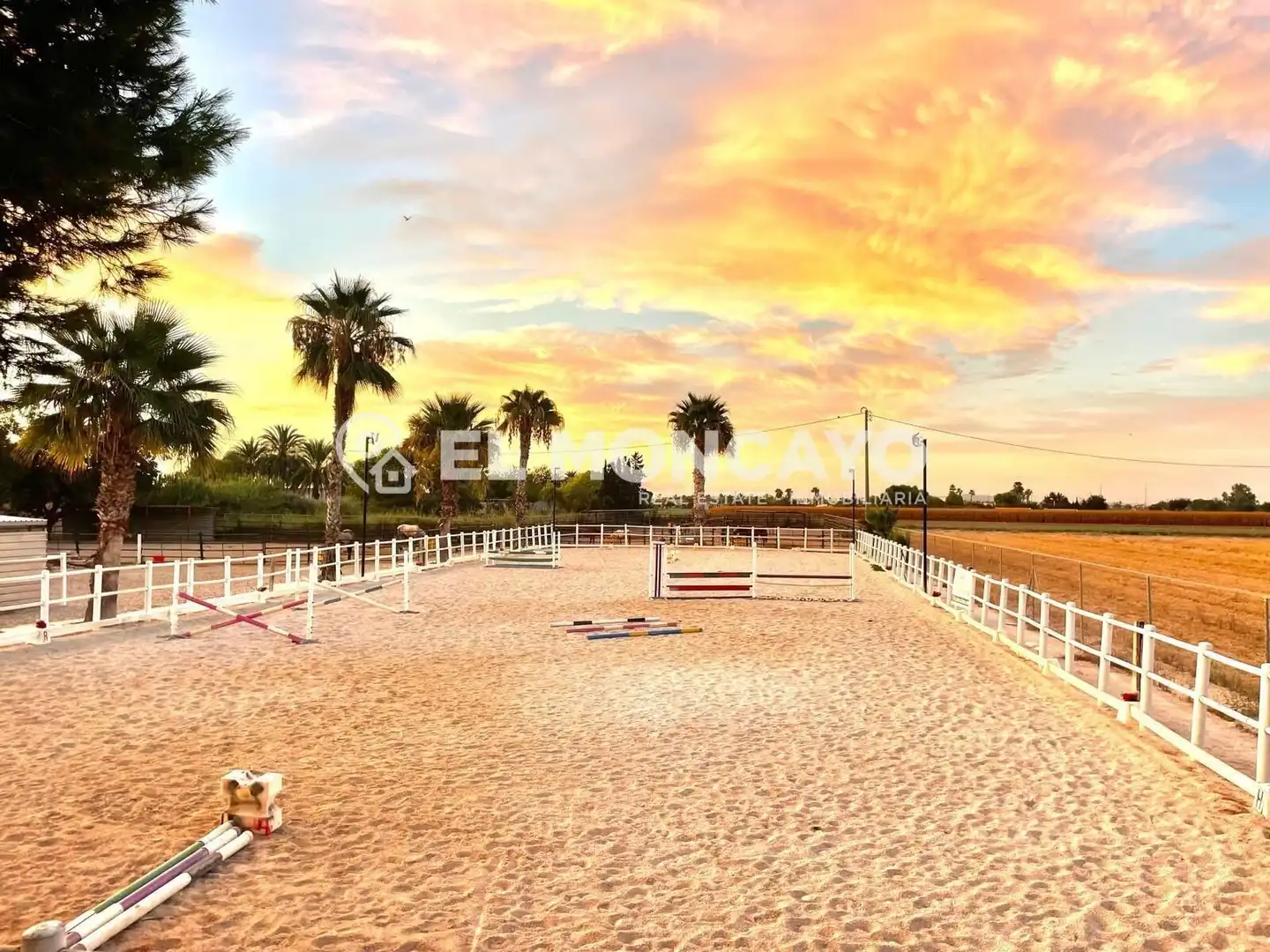 Casa con piscina en venta en Dolores, imagen 4