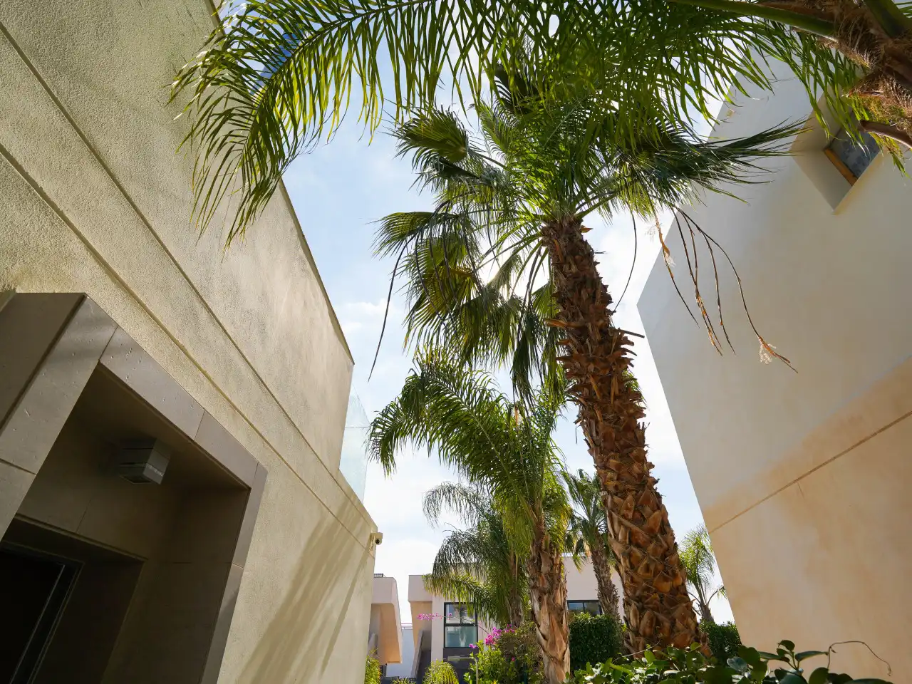 Exterior view of Houses for sale in Rojales  with Air Conditioner, Heating and Private garden