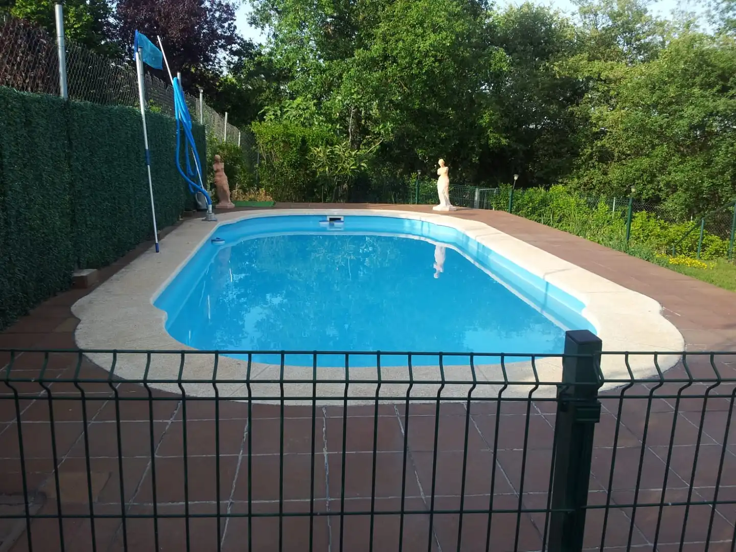 Piscina de Casa o xalet en venda en Entrena amb Jardí privat, Terrassa i Traster
