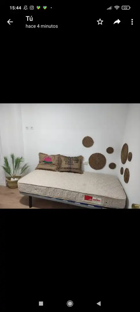 Bedroom of Flat for rent in Elche / Elx  with Furnished