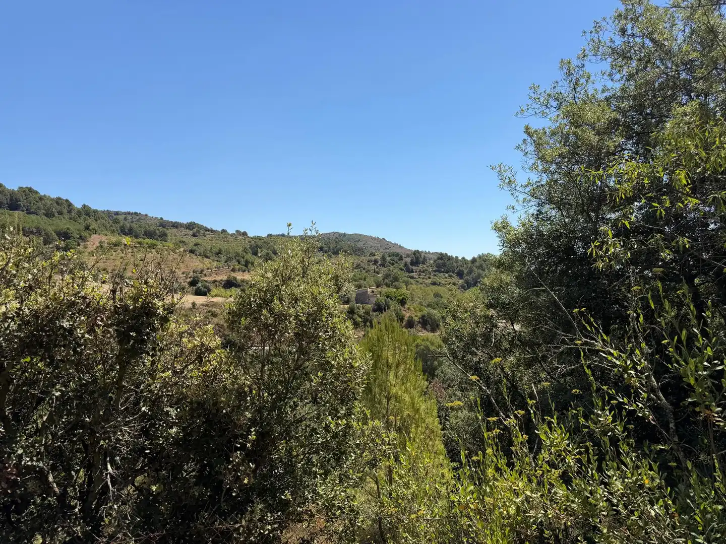 Country house with pool for sale in Cami de La Pedrera, imagen 25