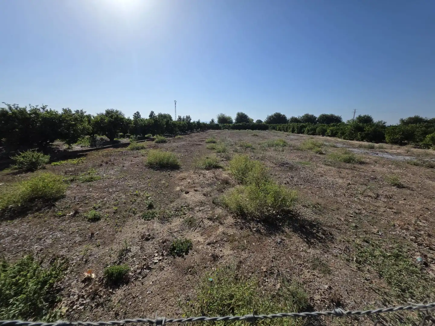 Terrain rustique à vendre à Albalat de la Ribera, imagen 15