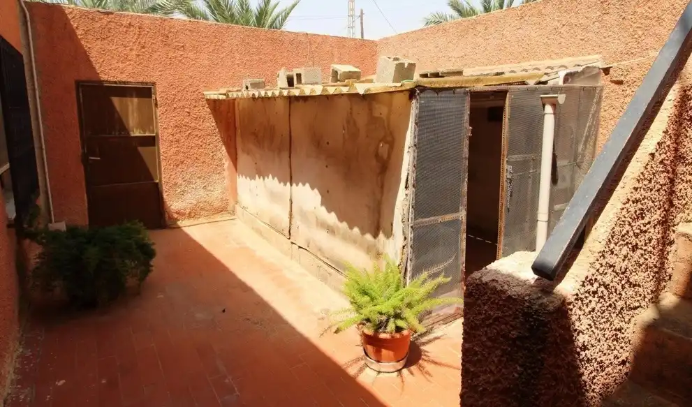 Jardín de Casa o chalet en venta en Elche / Elx con Jardín privado