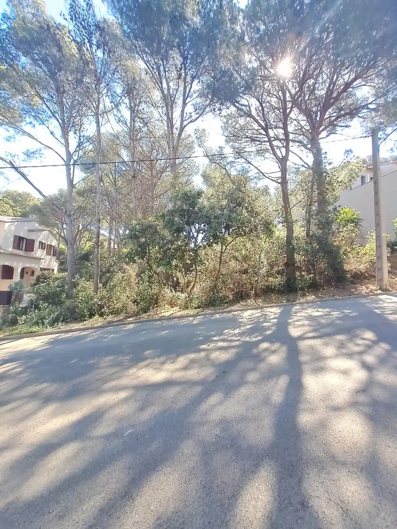 Terreny residencial en venda a Musclera, imagen 2