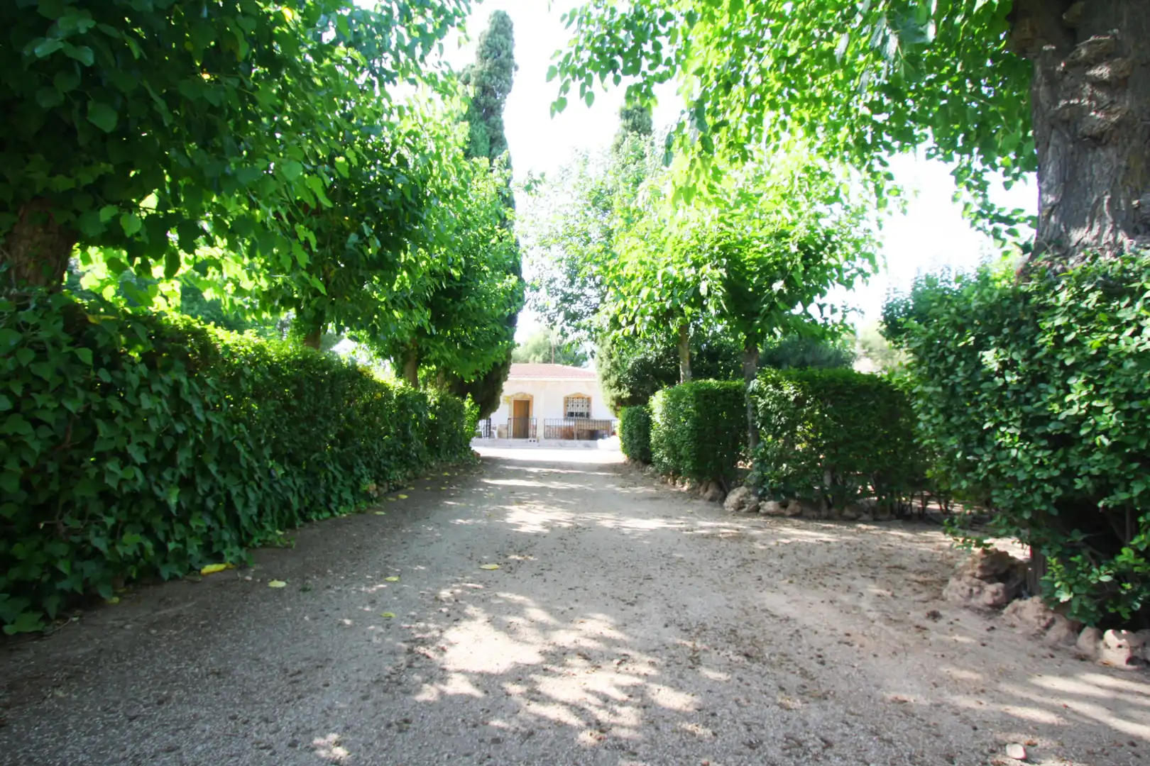 Jardí de Casa o xalet en venda en Albacete amb Aire condicionat, Jardí privat i Terrassa