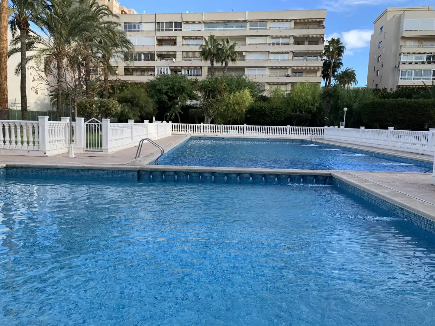 Schwimmbecken von Wohnungen zur Miete in Torrevieja mit Heizung, Terrasse und Schwimmbad