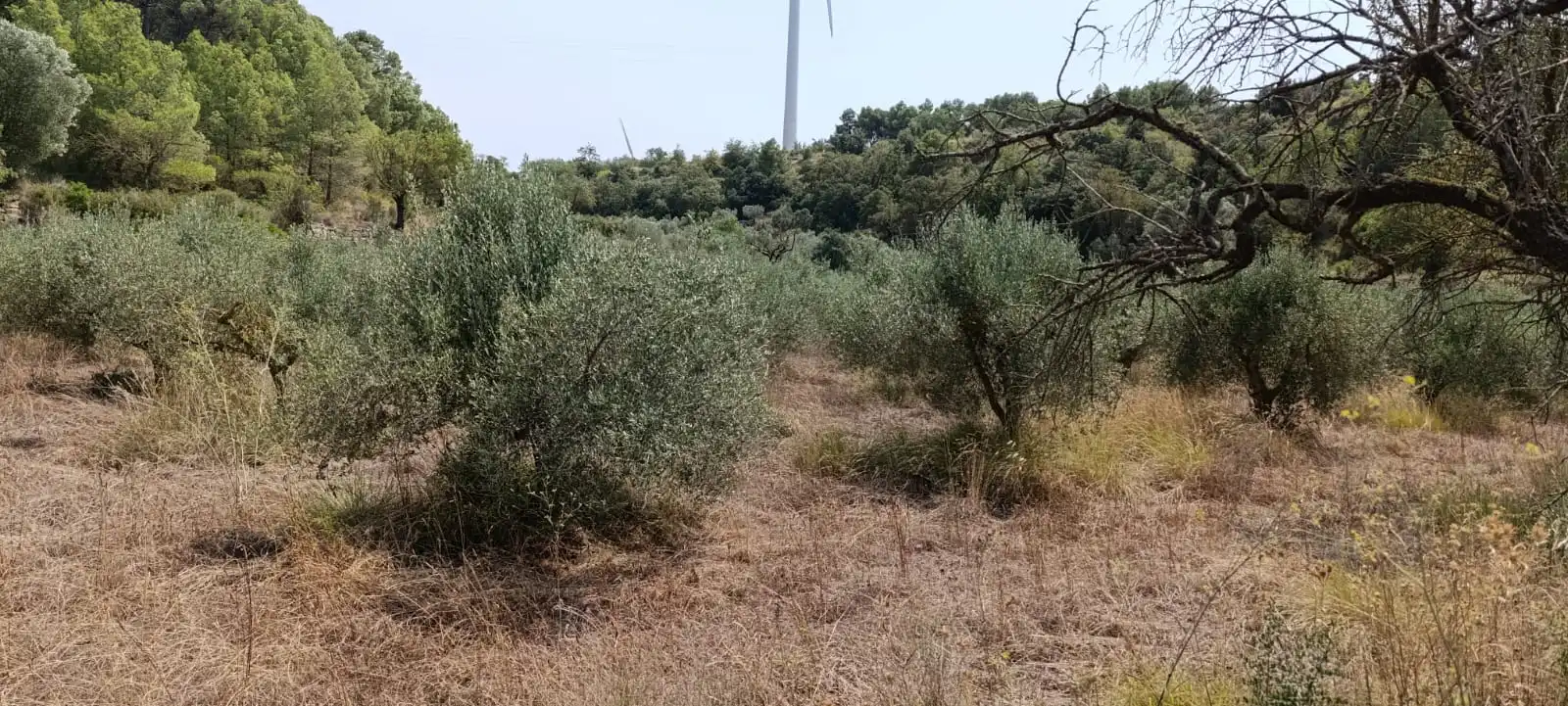 Residencial en venda en Vilalba dels Arcs