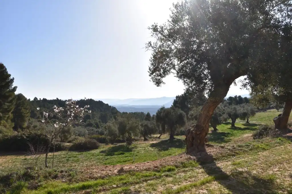 Country homes for sale in La Fresneda
