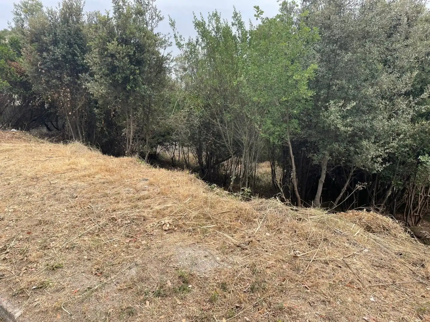 Lands and plots for sale in Caldes de Montbui, imagen 3