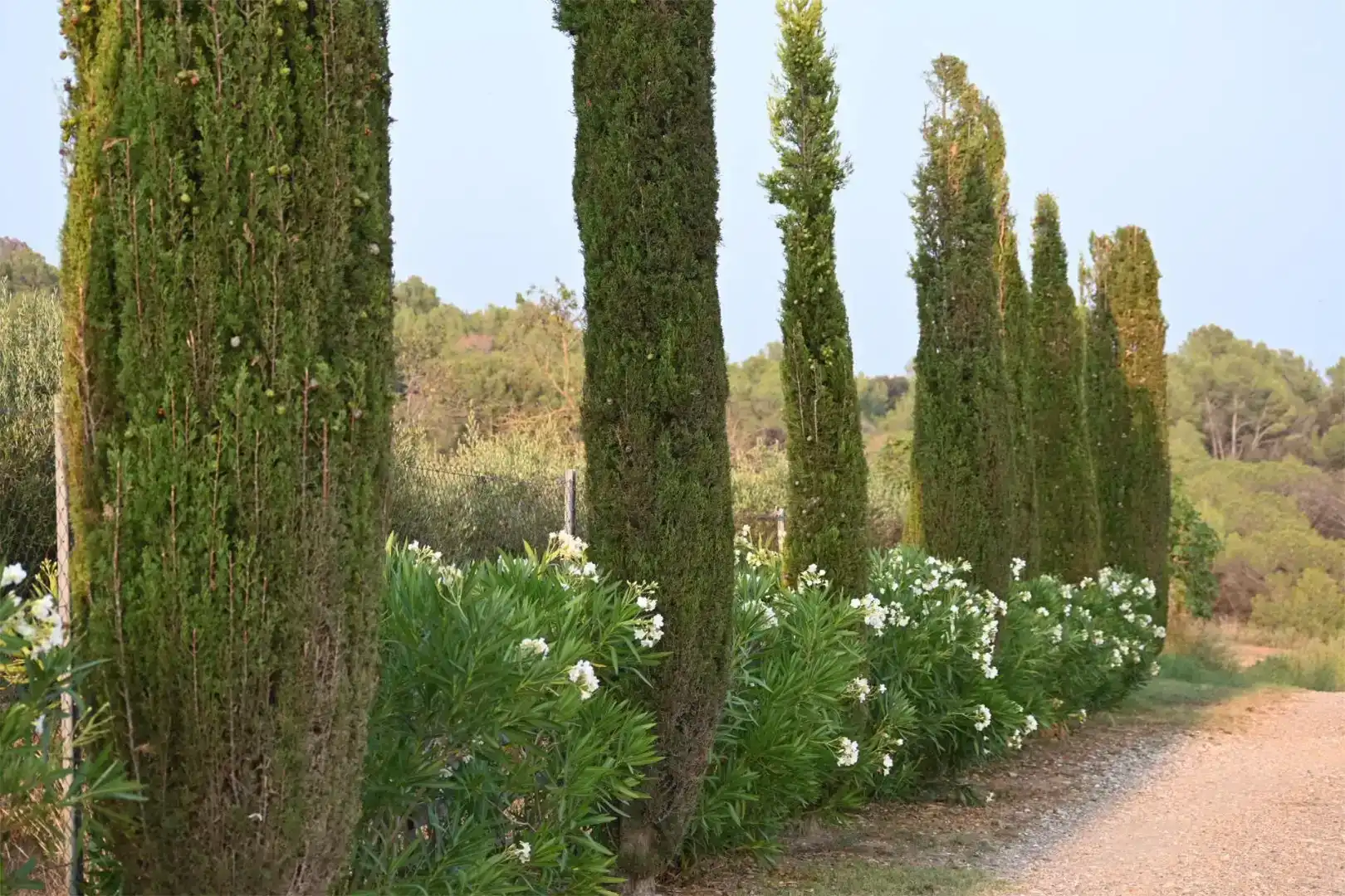 Jardí de Finca rústica en venda en Piera amb Aire condicionat i Piscina