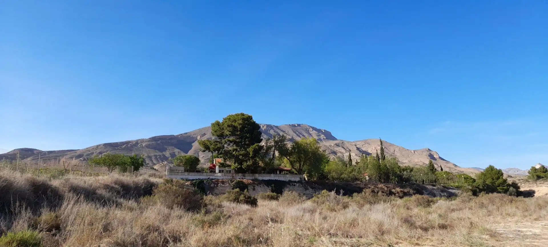 Terreny residencial en venda a Novelda, imagen 33