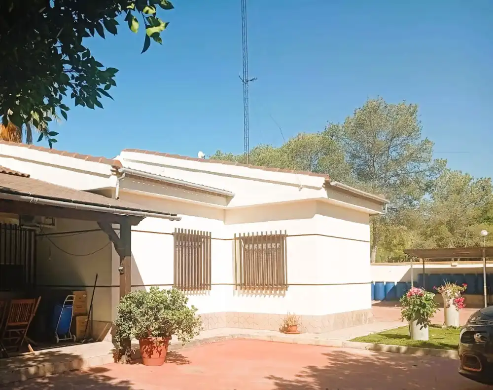 Exterior view of Flat for sale in Crevillent