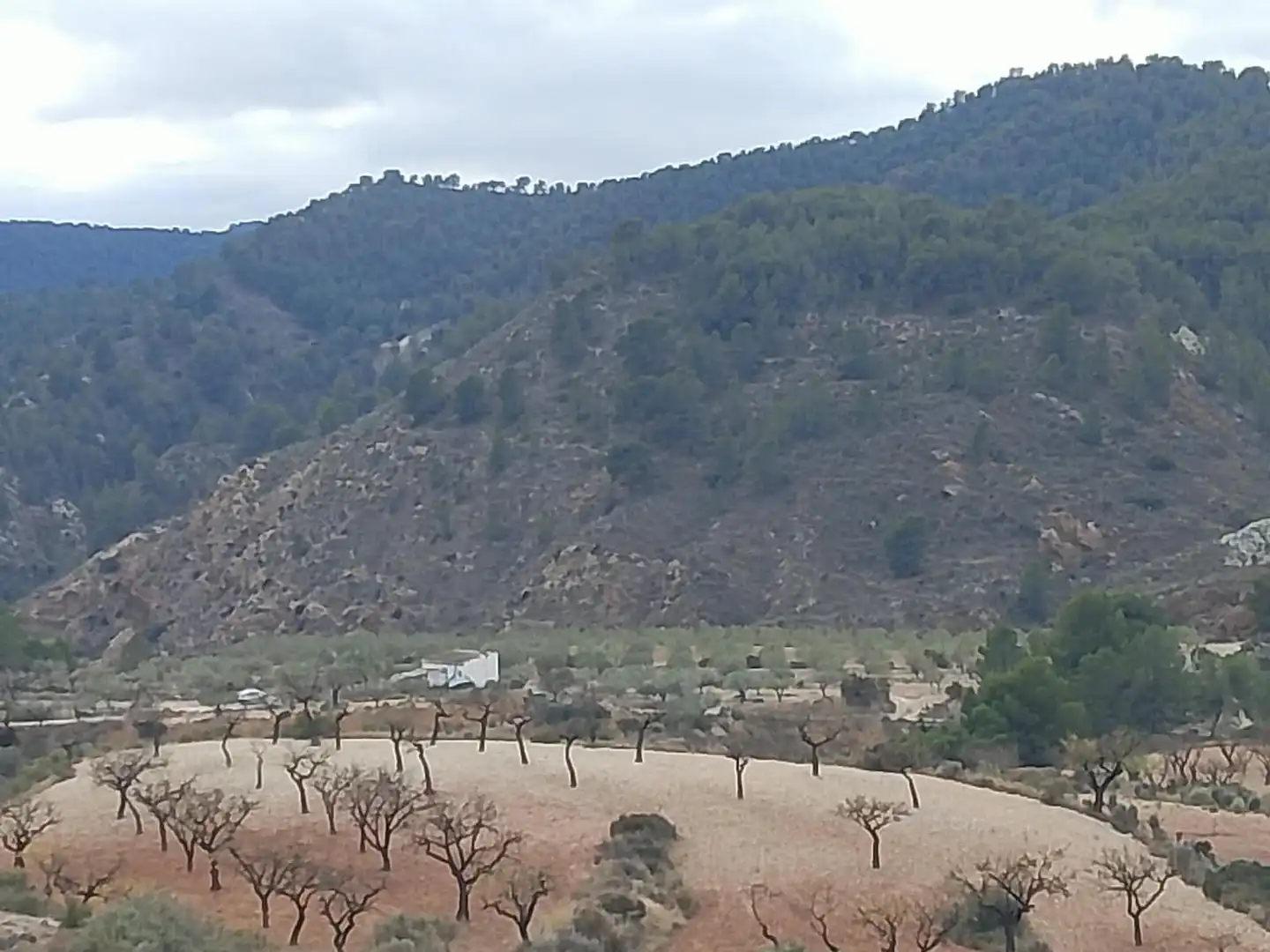 Casa rustica con giardino in vendita a Lugar Castillo, imagen 18