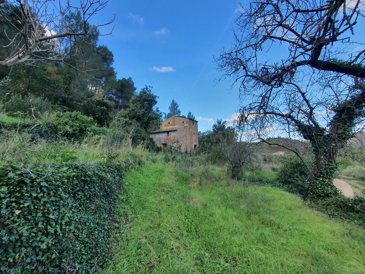 Casa en venta en Benifallet, imagen 42