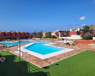 Piscina de Estudi de lloguer en San Bartolomé de Tirajana amb Aire condicionat, Terrassa i Piscina comunitària