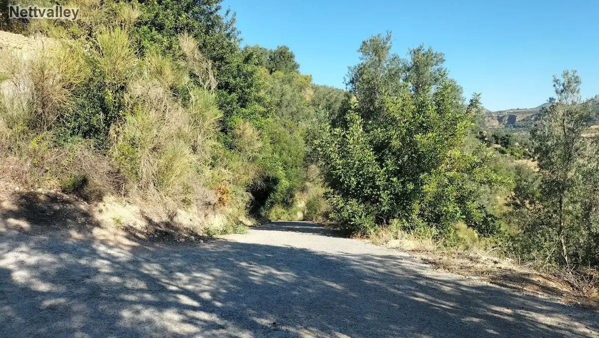 Terreni e lotti in vendita a LOMA DEL MEDIO, imagen 12