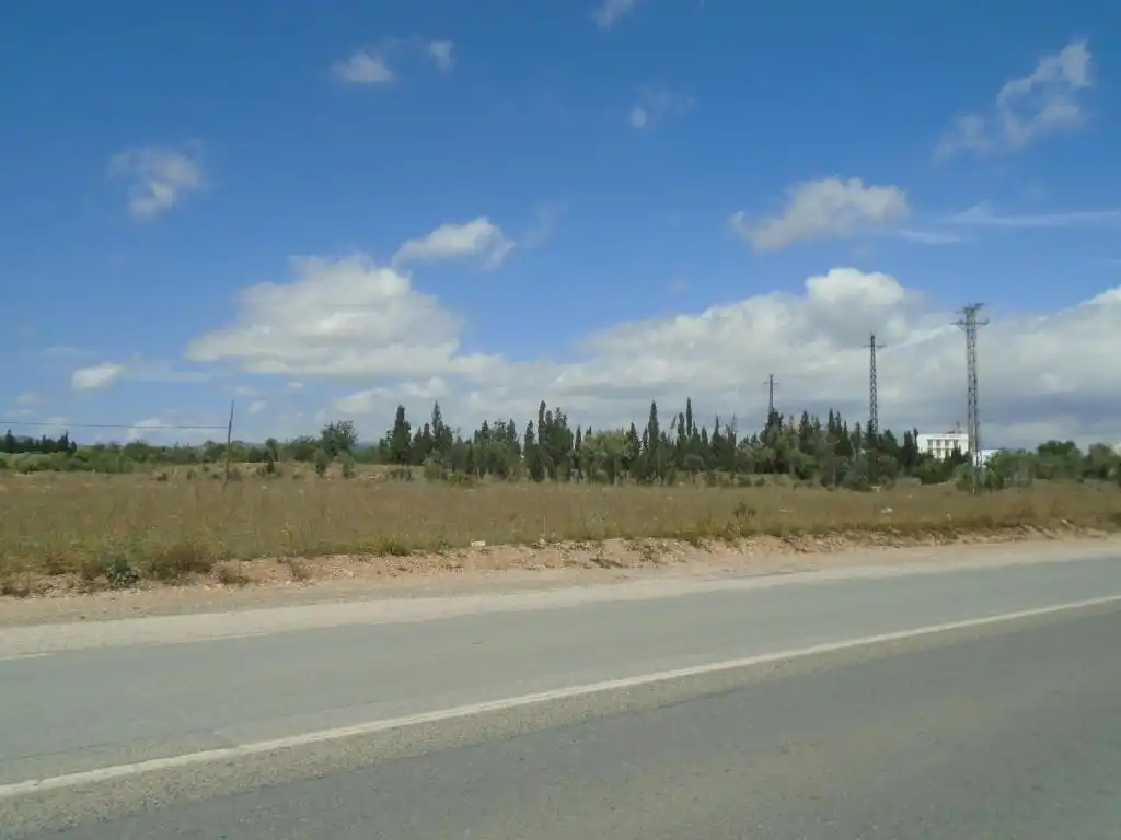 Terrain rustique à vendre à Av Catalunya, imagen 8