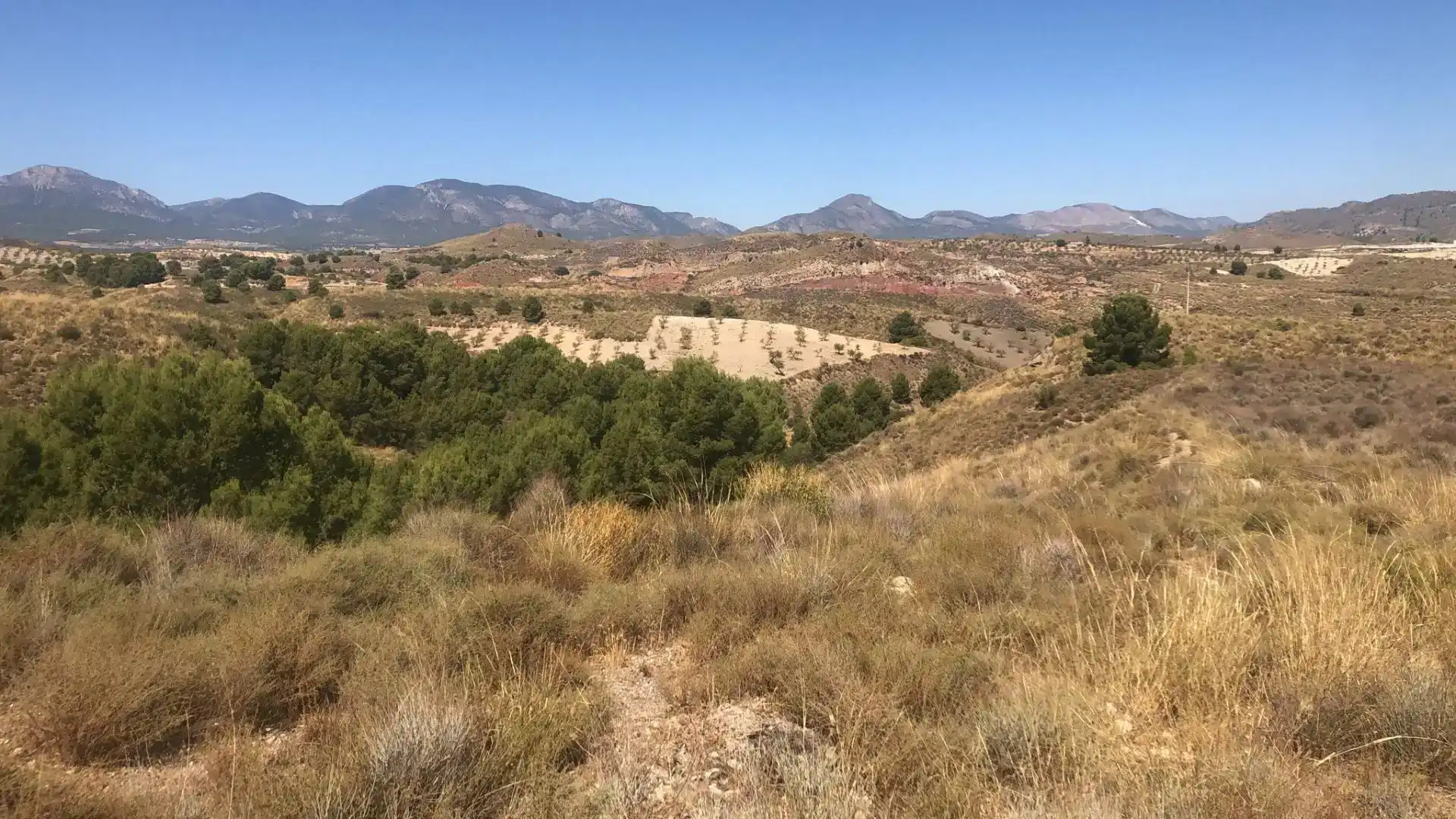 Residential for sale in Lorca