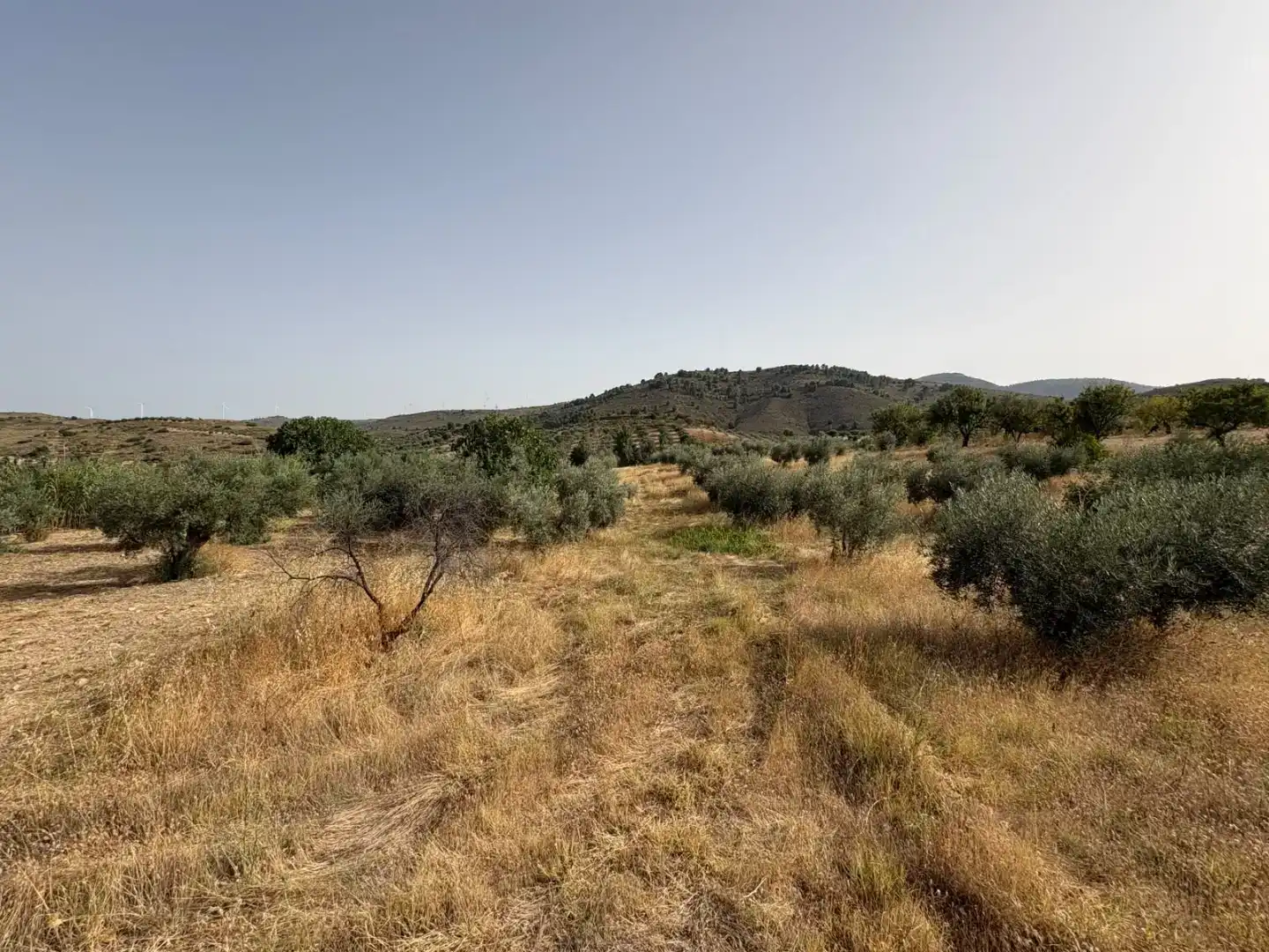 Pis en venda en Padul amb Jardí privat