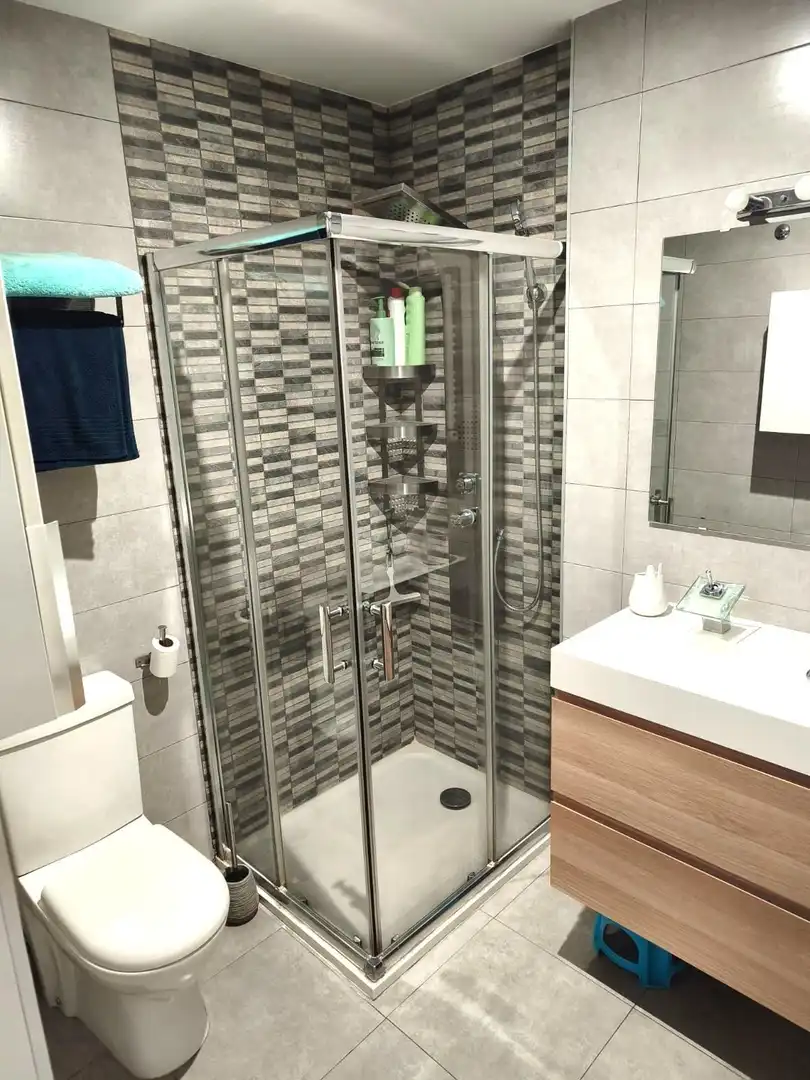 Bathroom of Flat for rent in Centro