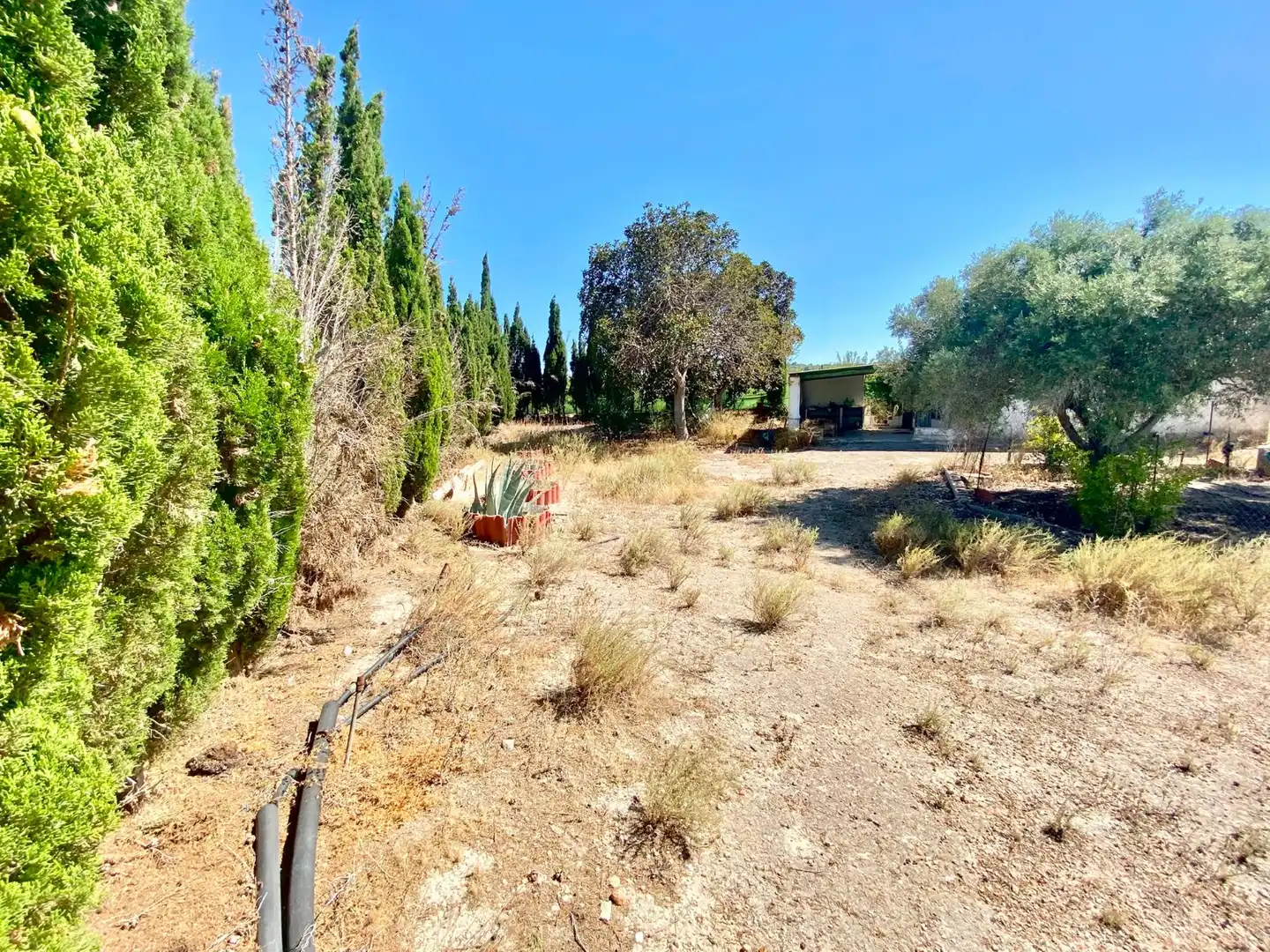 Terrenos y solares en venta en San Miguel de Salinas, imagen 18