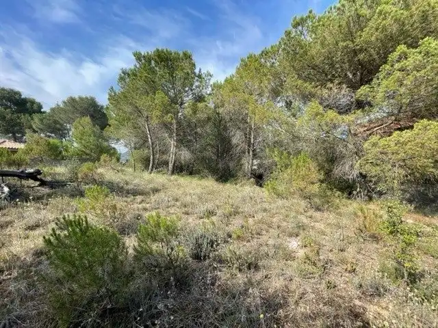 Lands and plots for sale in La Pobla de Claramunt, imagen 5