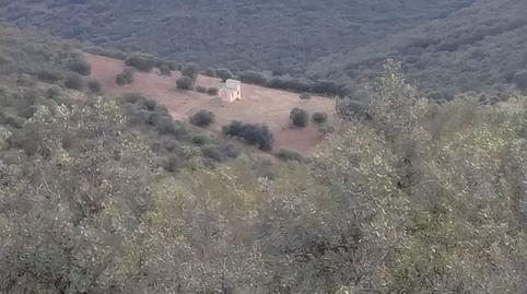 Foto 2 de Residencial en venta en Fuente el Fresno, Ciudad Real