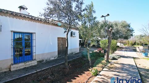 Foto 5 de Finca rústica en venta en Martín de la Jara, Sevilla