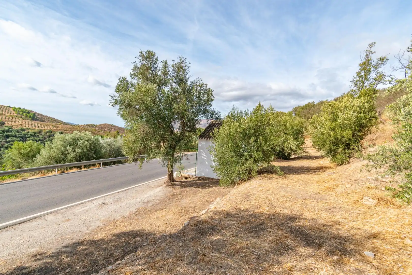 Country homes for sale in Órgiva
