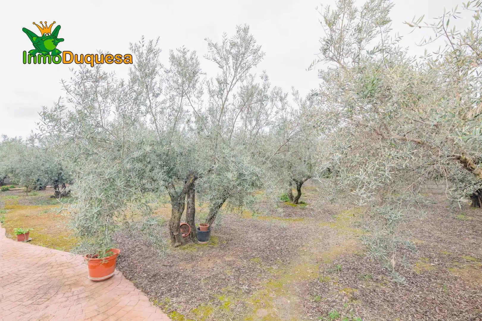 Garten von Country house zum Verkauf in Ogíjares