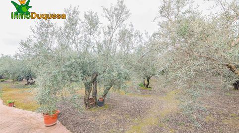 Foto 5 von Country house zum Verkauf in Ogíjares, Granada