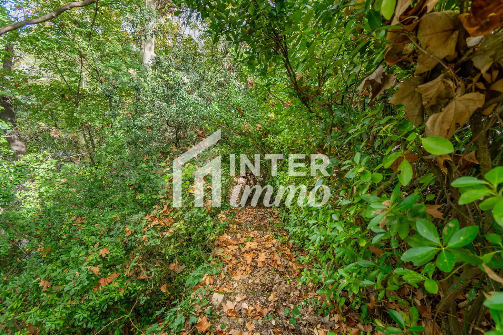 House with garden for sale in Calle DE LA RESCLOSA 7, imagen 48