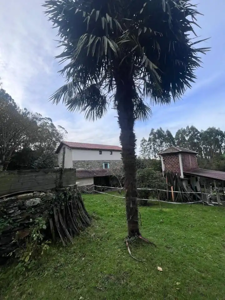 Außenansicht von Country house zum Verkauf in San Sadurniño mit Heizung, Privatgarten und Schwimmbad