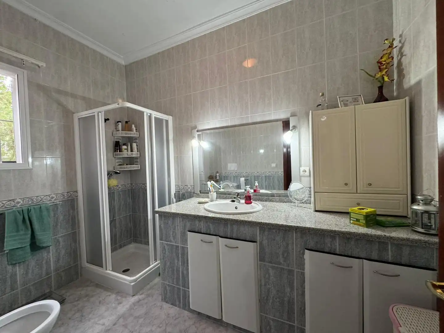 Baño de Casa o chalet en venta en Carmona con Terraza, Trastero y Piscina