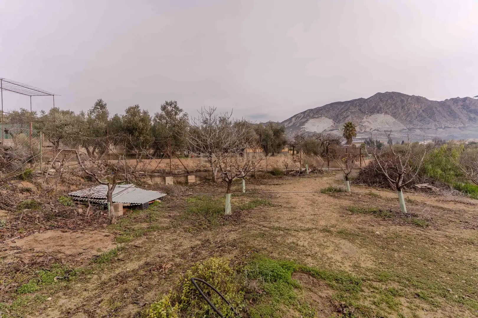 Casa o chalet en venta en Dúrcal con Jardín privado