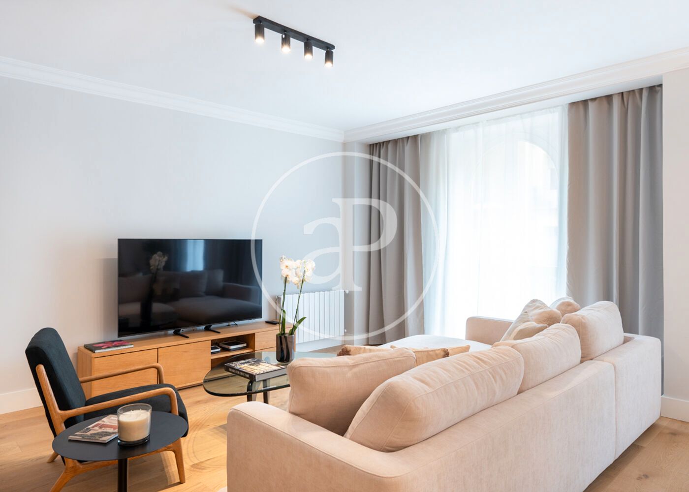 Living room of Flat to rent in  Madrid Capital  with Air Conditioner, Heating and Furnished